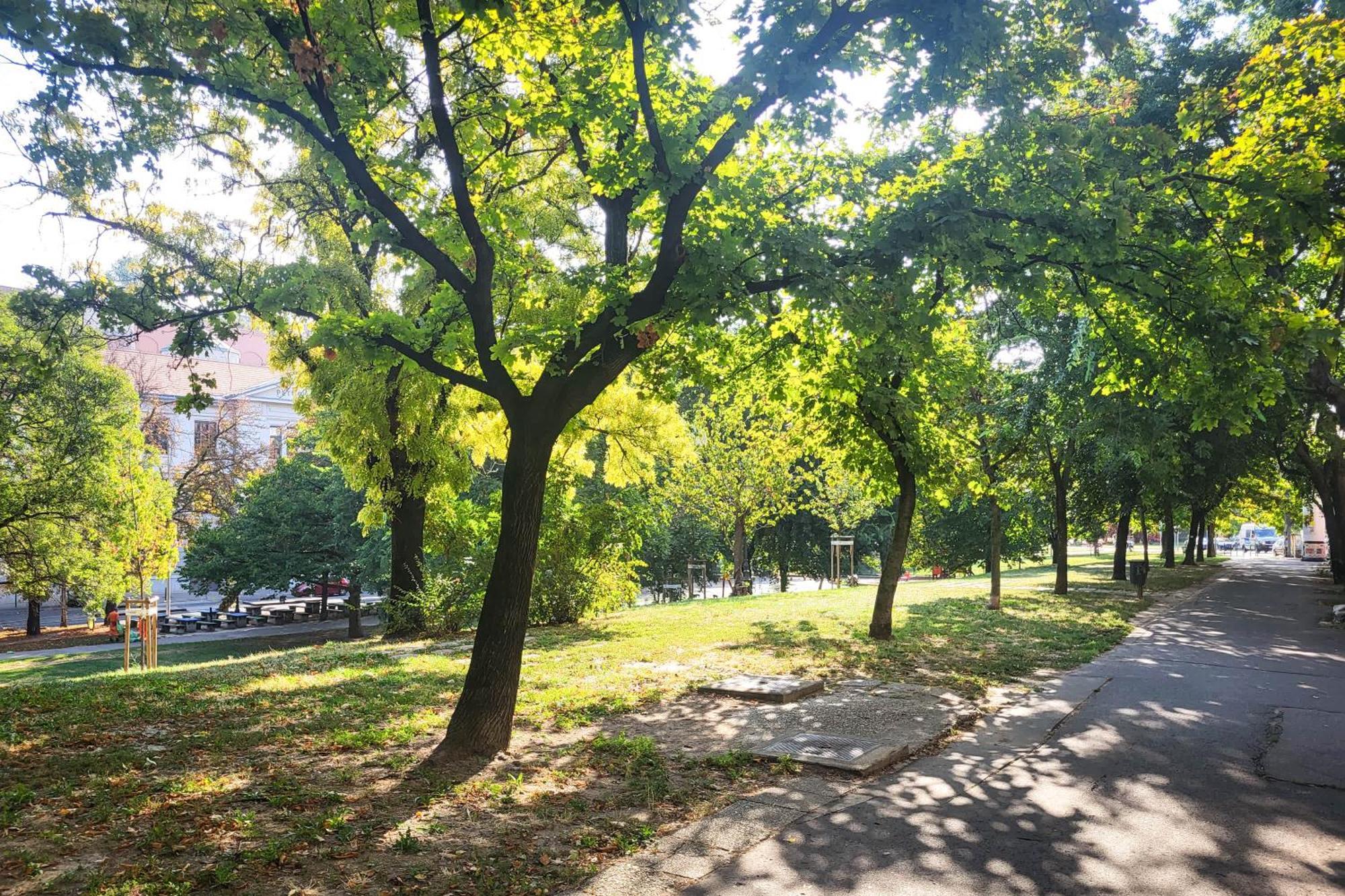 Apartman - Spacious - Classic Charm